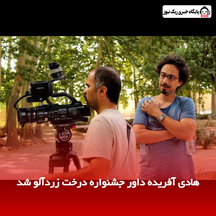 هادی آفریده داور جشنواره درخت زردآلو شد