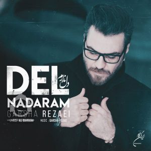 دانلود آهنگ دل ندارم – گرشا رضایی