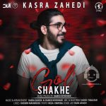 دانلود آهنگ شاخه گل – کسری زاهدی