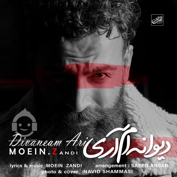 آهنگ دیوانه ام آری معین زندی
