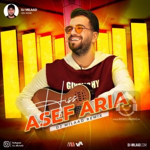 دانلود آهنگ هیس (ریمیکس) – آصف آریا