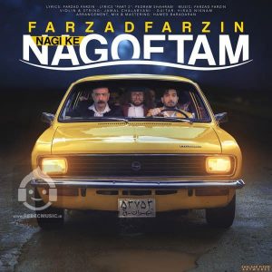 دانلود آهنگ نگی که نگفتم – فرزاد فرزین