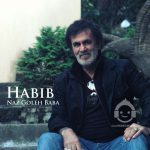 دانلود آهنگ ناز گل بابا – حبیب