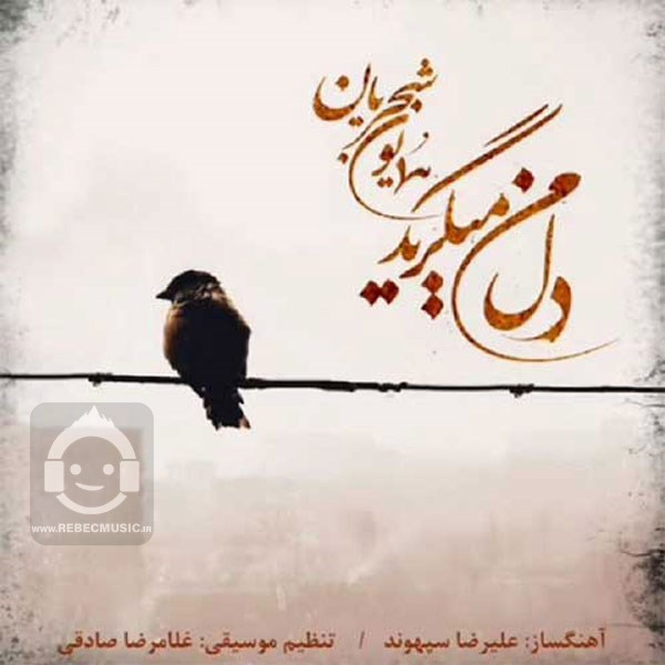 آهنگ دل من میگرید همایون شجریان