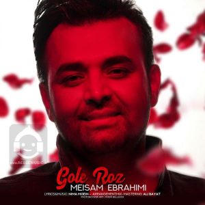 دانلود آهنگ گل رز – میثم ابراهیمی