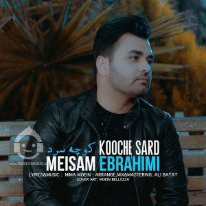 دانلود آهنگ کوچه سرد – میثم ابراهیمی
