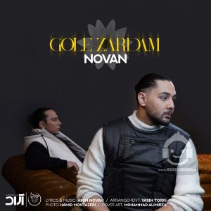 دانلود آهنگ گل زردم – نوان
