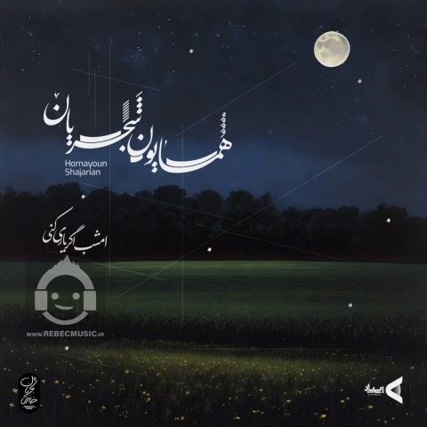 آهنگ امشب اگر یاری کنی از همایون شجریان