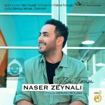 دانلود آهنگ با توام – ناصر زینلی