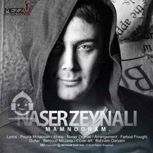 دانلود آهنگ ممنونم – ناصر زینلی