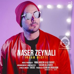 دانلود آهنگ یادم میوفتی – ناصر زینلی