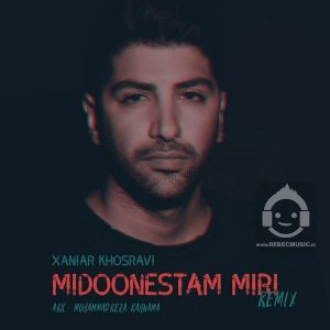 دانلود آهنگ میدونستم میری (ریمیکس) – زانیار خسروی