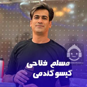 دانلود آهنگ گیسو گندمی – مسلم فتاحی