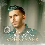 دانلود آهنگ گل من – مهریار
