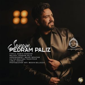 دانلود آهنگ صنم – پدرام پالیز