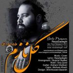 دانلود آهنگ گل نازم – رضا صادقی