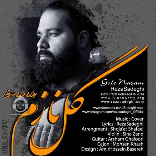 آهنگ گل نازم از رضا صادقی