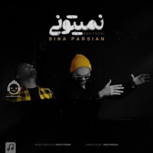 دانلود آهنگ نمیتونی – سینا پارسیان