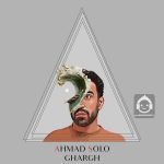 دانلود آهنگ غرق – احمد سلو