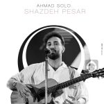 دانلود آهنگ شازده پسر – احمد سلو