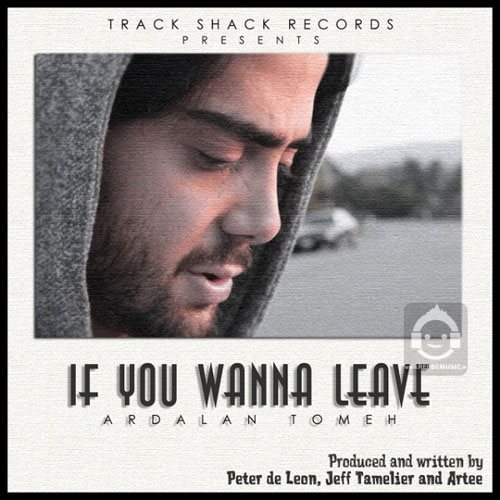 آهنگ if you wanna leave از اردلان طعمه