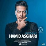 دانلود آهنگ دیوونه – حمید اصغری دانلود آهنگ دیوونه – حمید اصغری