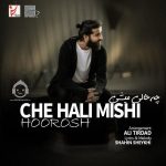 دانلود آهنگ چه حالی میشی – هوروش بند