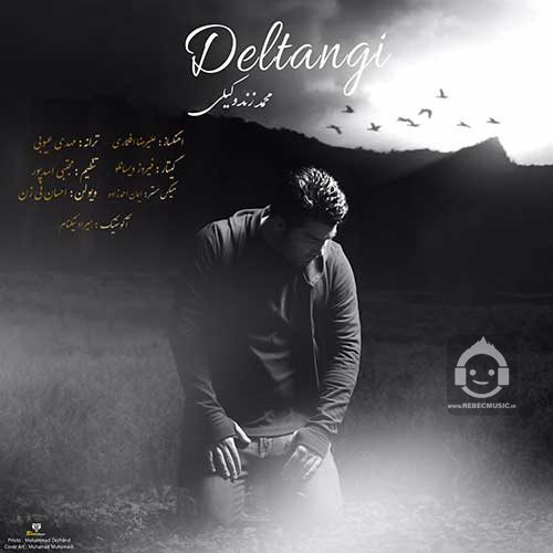 آهنگ دلتنگی از محمد زند وکیلی