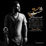 دانلود آهنگ شب مستی – محمد زند وکیلی