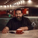 دانلود آهنگ شهر آشوب – رضا صادقی