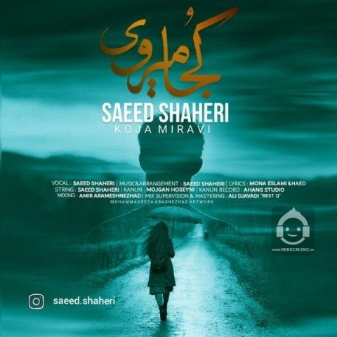 آهنگ کجا میروی از سعید شاهری