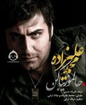 دانلود آهنگ حالمو زیبا کن – محمد علیزاده