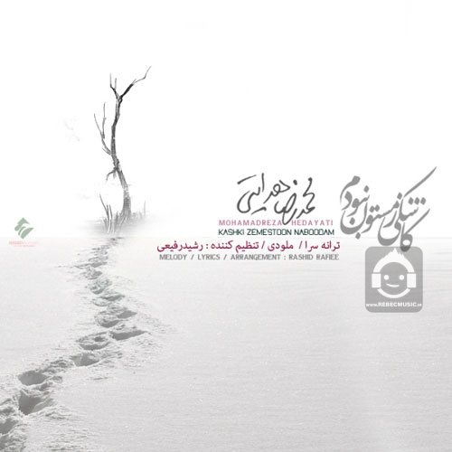 آهنگ کاشکی زمستون نبودم از محمدرضا هدایتی