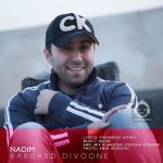 دانلود آهنگ برگرد دیوونه – ندیم دانلود آهنگ برگرد دیوونه – ندیم