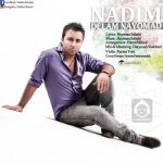 دانلود آهنگ دلم نیومد – ندیم
