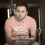دانلود آهنگ دل دیوونه – ندیم دانلود آهنگ دل دیوونه – ندیم
