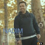 دانلود آهنگ ملکه احساس – ندیم