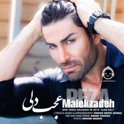 آهنگ عجب دلی از رضا ملک زاده
