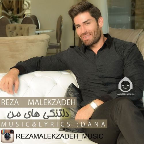 آهنگ دلتنگی های من از رضا ملک زاده