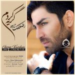 دانلود آهنگ گریه کردم – رضا ملک زاده