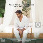 دانلود آهنگ من زورم نمیرسه – رضا ملک زاده