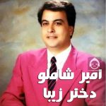 دانلود آهنگ دختر زیبا – امیر شاملو