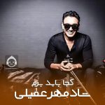 دانلود آهنگ کجا باید برم – شادمهر عقیلی (هوش مصنوعی) دانلود آهنگ کجا باید برم – شادمهر عقیلی (هوش مصنوعی)