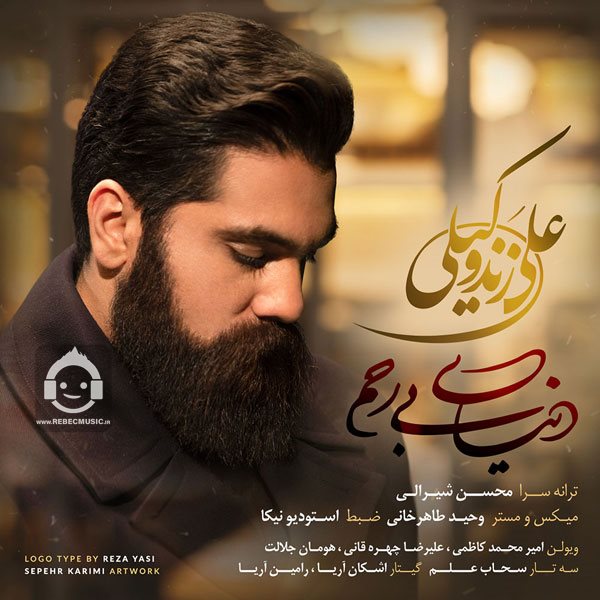 آهنگ دنیای بی رحم از علی زندوکیلی