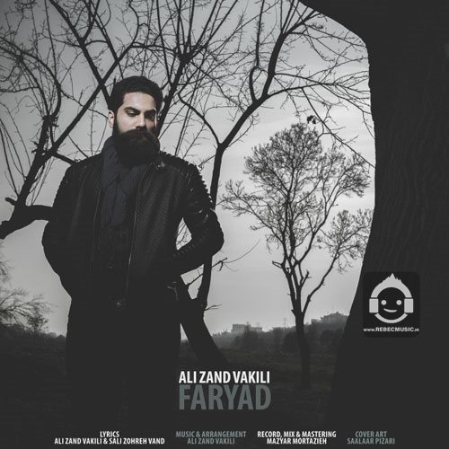آهنگ فریاد از علی زندوکیلی