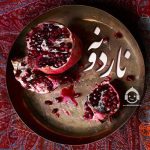 دانلود آهنگ ناردونه – علی زندوکیلی دانلود آهنگ ناردونه – علی زندوکیلی
