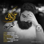 دانلود آهنگ شهر حسود – علی زندوکیلی دانلود آهنگ شهر حسود – علی زندوکیلی
