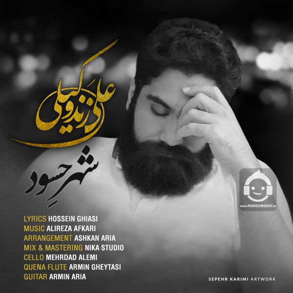 آهنگ شهر حسود از علی زندوکیلی