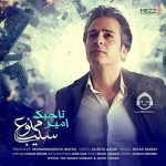 دانلود آهنگ سیب ممنوع – امیر تاجیک