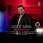 دانلود آهنگ گل قرمز – آصف آریا